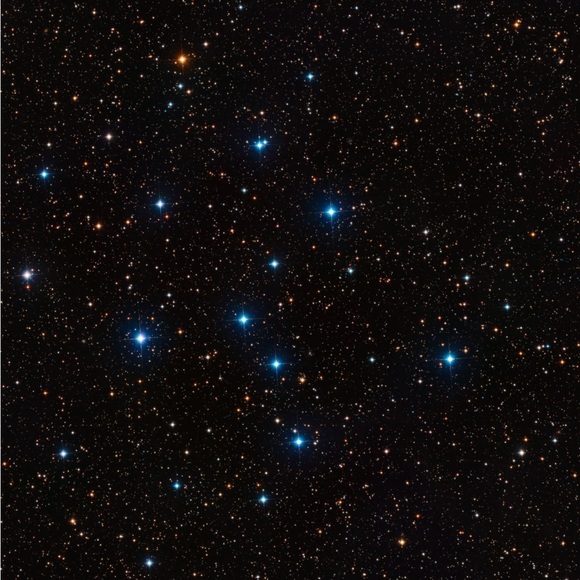 Meet your Posher - Picture 6 of 8